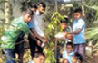 Maharashtra to appoint 1 cr ’tree ambassadors’ to conserve forests